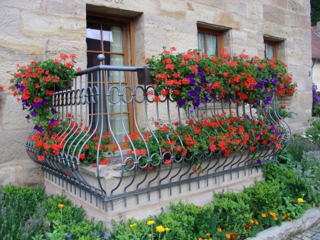 Balkon cicekleri ve balkon susleme 450x337
